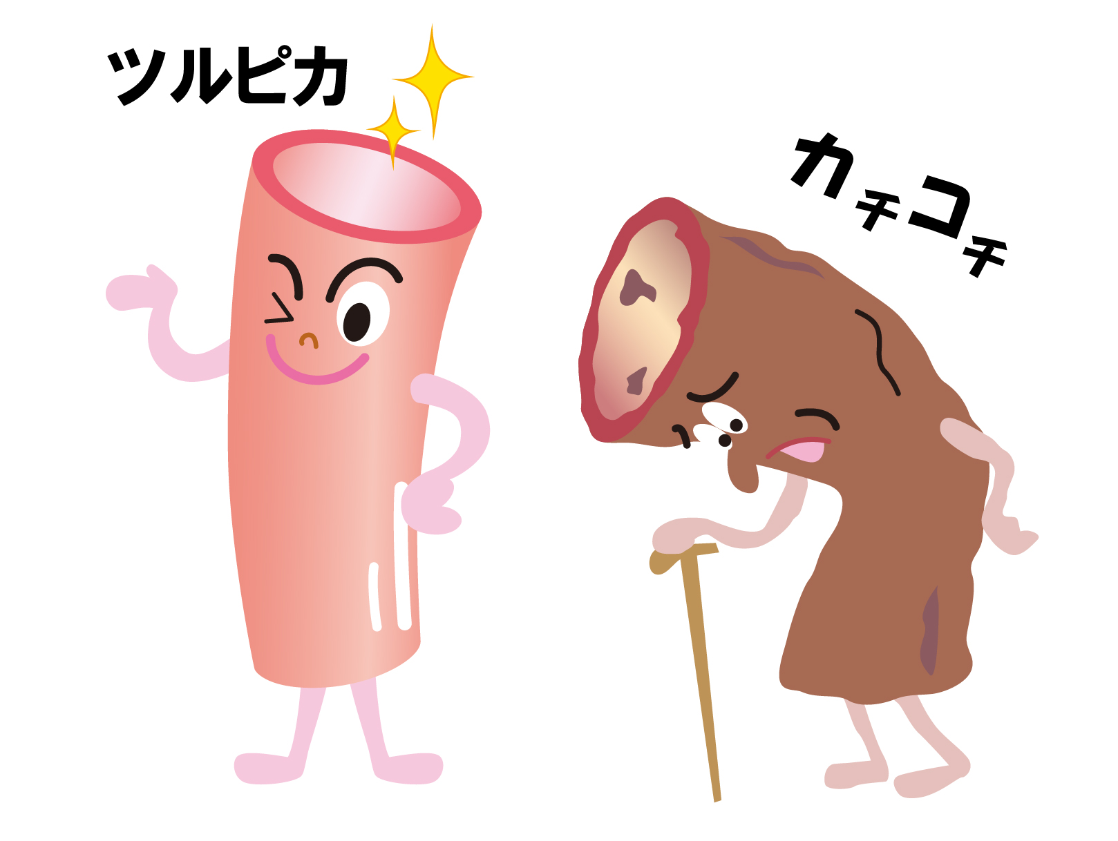 トマール ラ レクトゥーラの準備